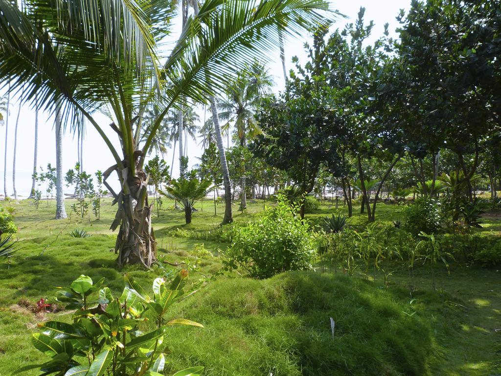 Ankobra Beach Resort Axim Exteriör bild