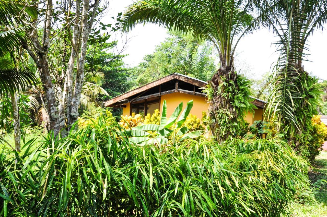 Ankobra Beach Resort Axim Rum bild